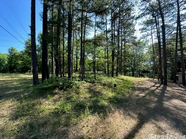 (undisclosed Address), Quitman, AR 72131