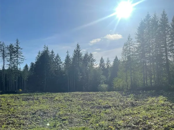 14253 W Cloquallum Road, Elma, WA 98546