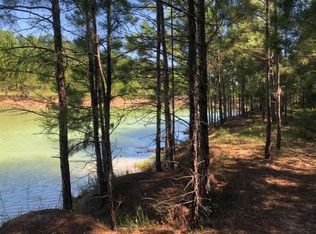 15559 Creightons Ct, Montgomery, TX 77316