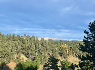 411 Twin Lakes Dr, Divide, CO 80814