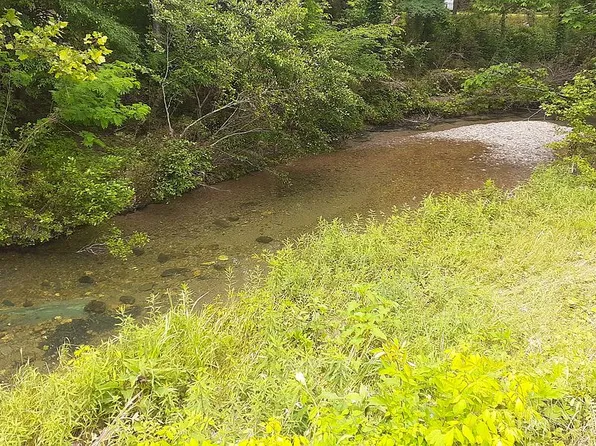 101 Goodeaux Rd, Lonsdale, AR 72087