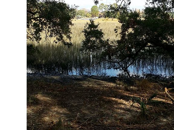 2nd image of 12 Marsh Oaks Lane