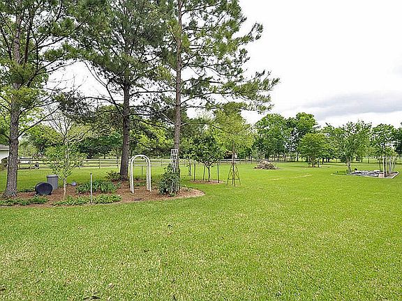 THE BACK YARD ACREAGE, MUITIPLE FRUIT TREES AND PECAN TREES LOCATED ON THE PROPERTY.