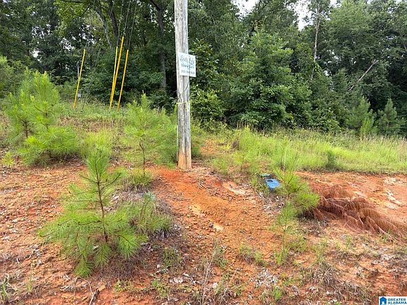 5th image of 0 County Road 367 #X