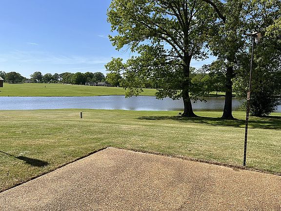 view from patio