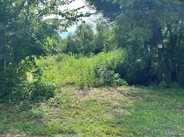 (undisclosed Address), Middle Brook, MO 63656