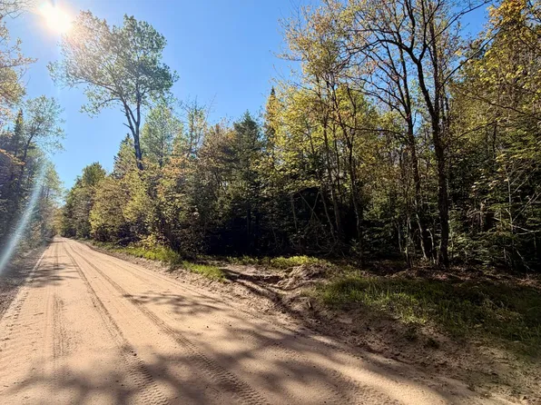 0 County Road 422, Mc Millan, MI 49853
