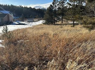 493 Rhyolite Ln, Florissant, CO 80816