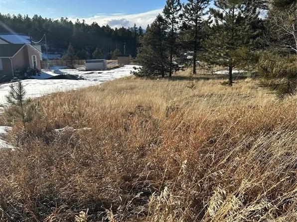 493 Rhyolite Ln, Florissant, CO 80816