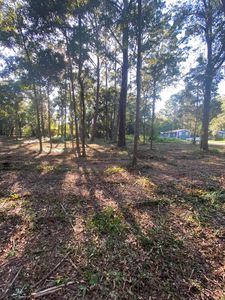 87 Rosa Nell Ln, Defuniak Springs, FL, 32435