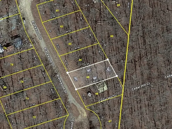 65 Blackwood Dr, Nunnelly, TN 37137