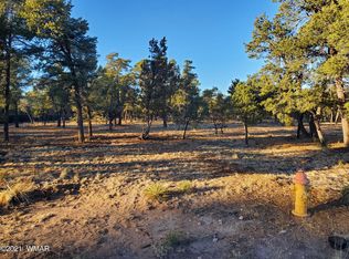 3042 Chevelon Rd, Overgaard, AZ 85928