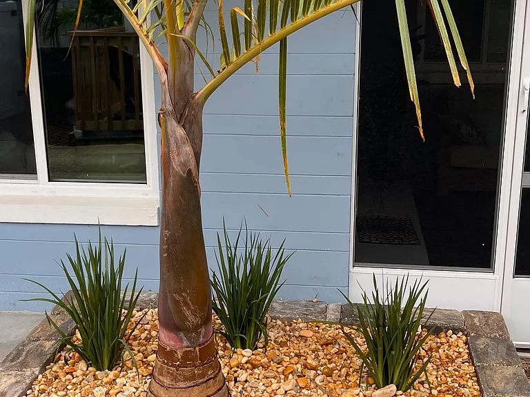 4517 Saxon Dr — Photo 24
