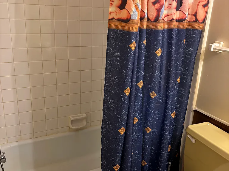 116 Crystal Cir #1 — Photo 3