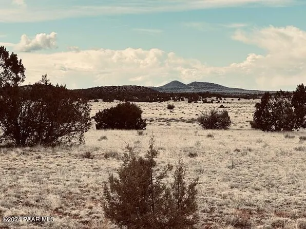 424N W Deliverance Rd, Seligman, AZ 86337