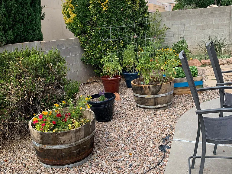 Back patio