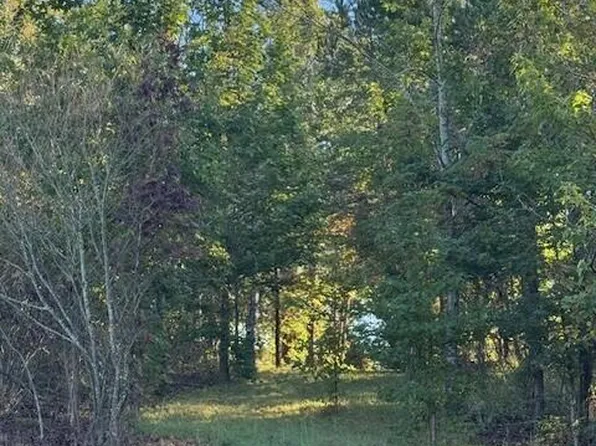 446 Patton School Rd, South Pittsburg, TN 37380