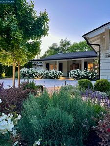 20 Olympic Oaks Dr, Lafayette, CA, 94549