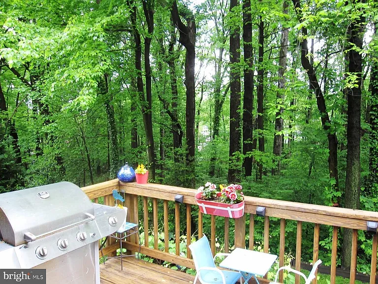 3913 Moss Dr — Photo 18