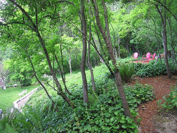 Path to upper viewing area