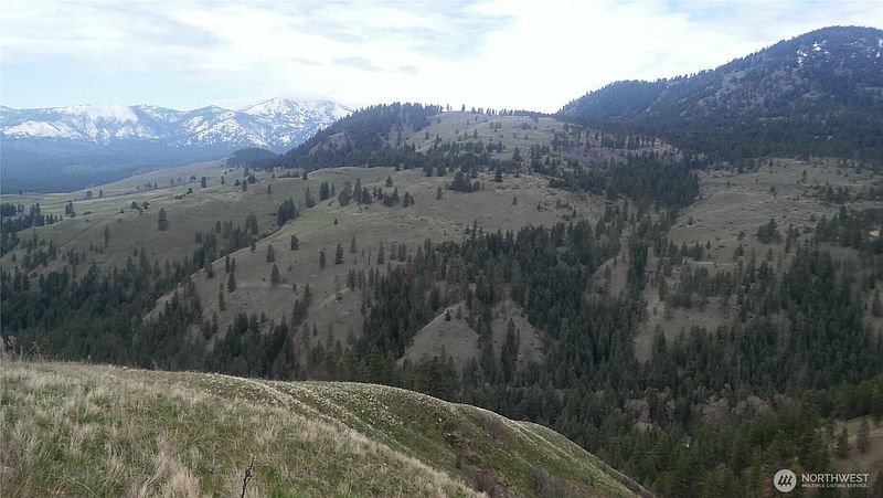 5th image of 0 TBD N Fork Salmon Creek Road