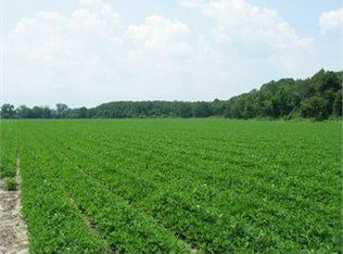 687 Postell Rd, Adel, GA 31620