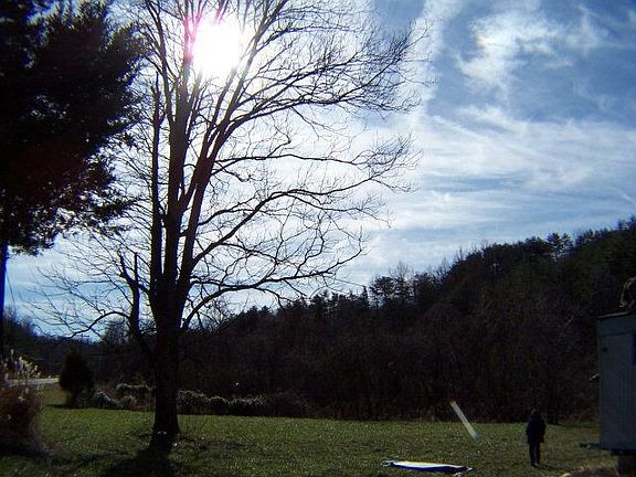 4th image of 2590 Hanging Limb Hwy