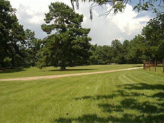 green pastures of Bahia grass