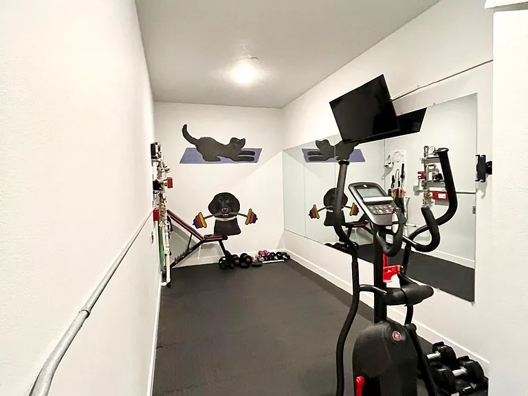 lower level closet converted to gym