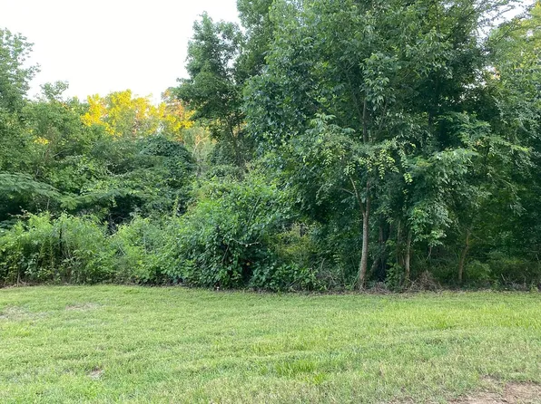 0 White Oak St, Pointblank, TX 77364