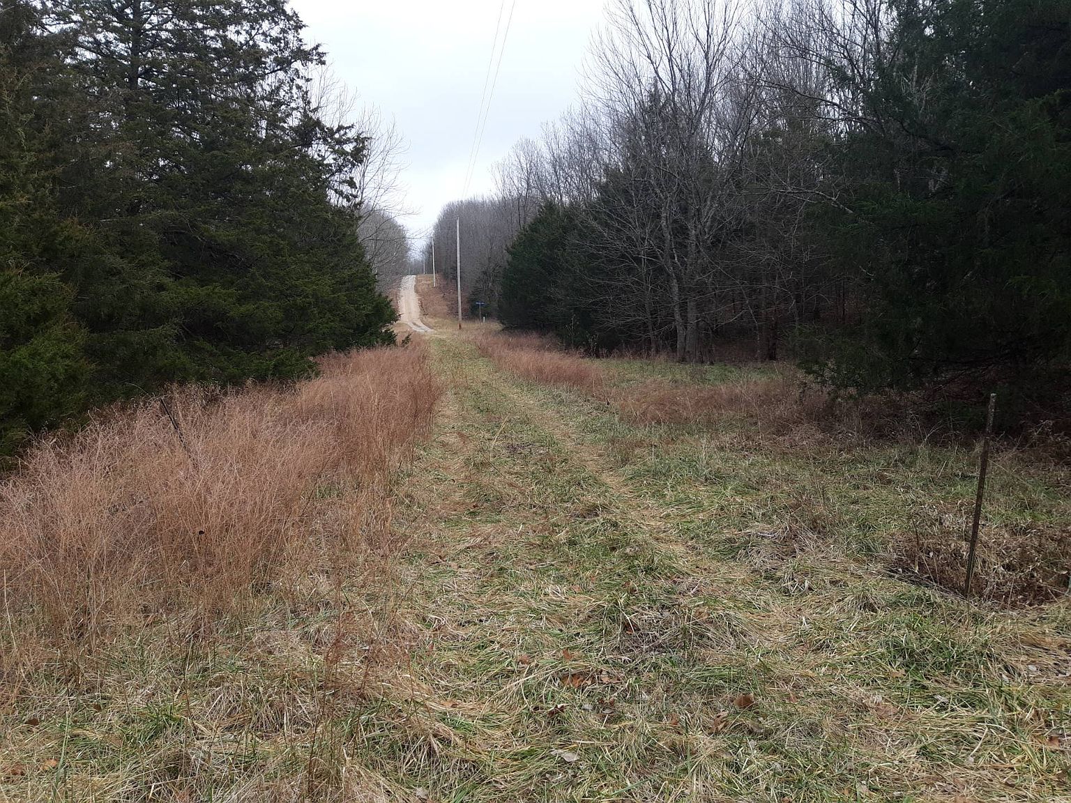 Xx Dogwood Ln, Preston, MO 65732 MLS 11204064 Zillow