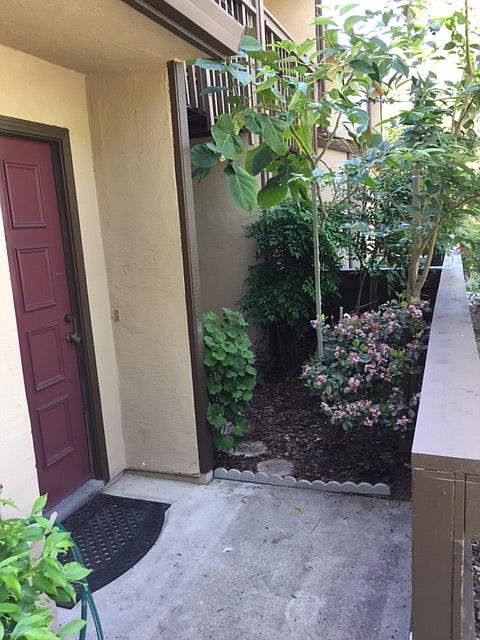 Entrance Patio