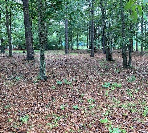 2nd image of 2054 Arnold Palmer Drive