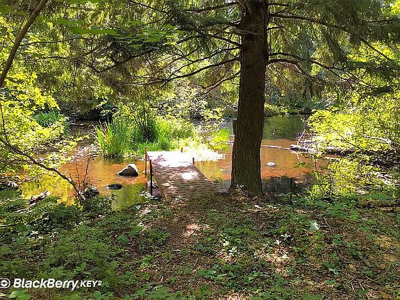 Pier & Manitowish River View