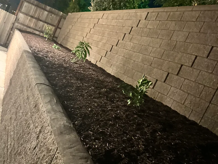 Backyard night view with retaining wall and plants and weed protection with fabric and bark (mulch)
