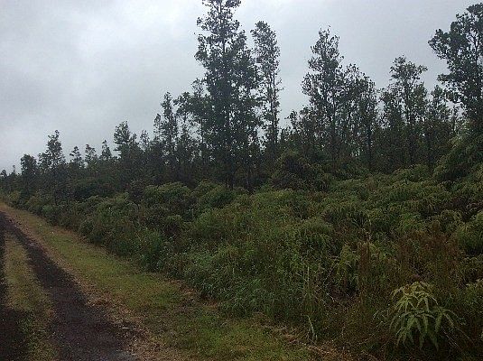 2nd image of S Kopua Rd Lot 8521