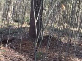 219 Greene Rd, Greenfield Center, NY 12833