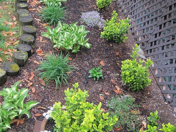 Professional landscape