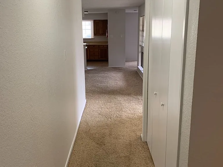 305 Shady Valley Dr — Photo 4