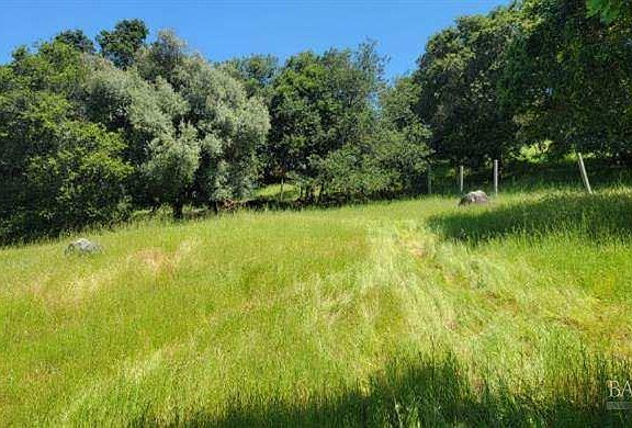 5th image of 2501 Incline Drive