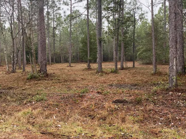 Lot 32-33 Ash Road, Boiling Spring Lakes, NC 28461