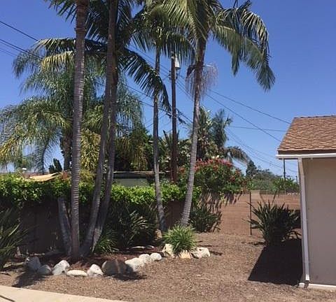 Tropical backyard with with low maintenance landscaping.