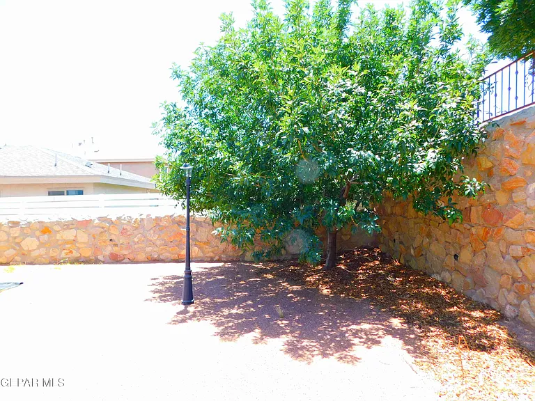 11233 Red Barrel Pl — Photo 63