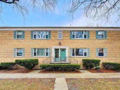 1039 Randolph St #1W, Oak Park, IL, 60302