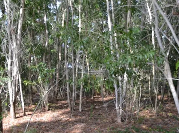 3688 Perkins Ln, Saint James City, FL 33956