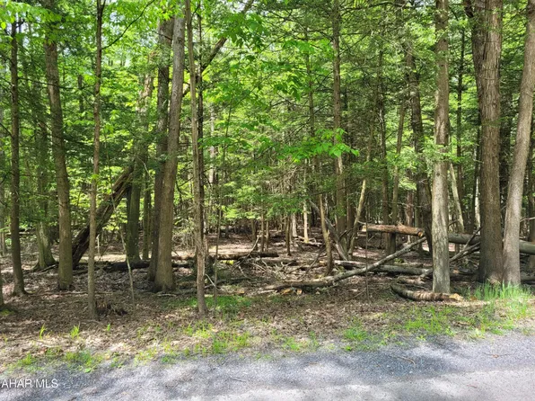 138 Red Oak Rd, Flinton, PA 16640