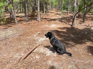 Ppf 10 Payne Pond Rd #PPF-10, Kershaw, SC 29067