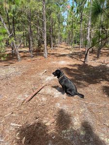 Ppf 10 Payne Pond Rd #Ppf-10, Kershaw, SC, 29067