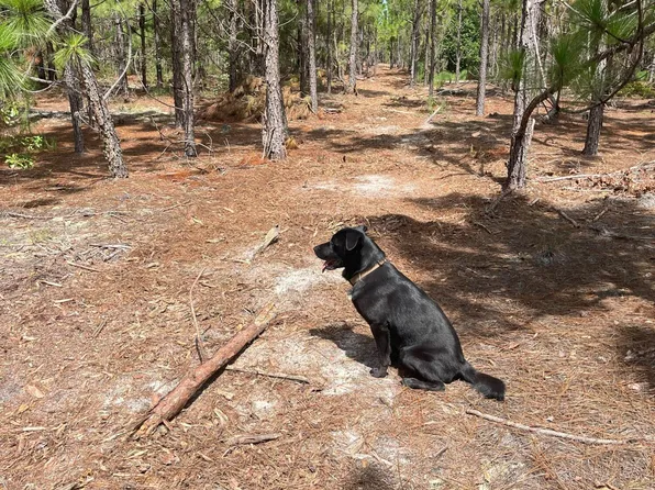 Ppf 10 Payne Pond Rd #Ppf-10, Kershaw, SC 29067