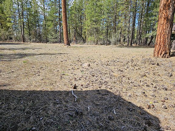 3rd image of Wolverine Ln Lot 7 & 8